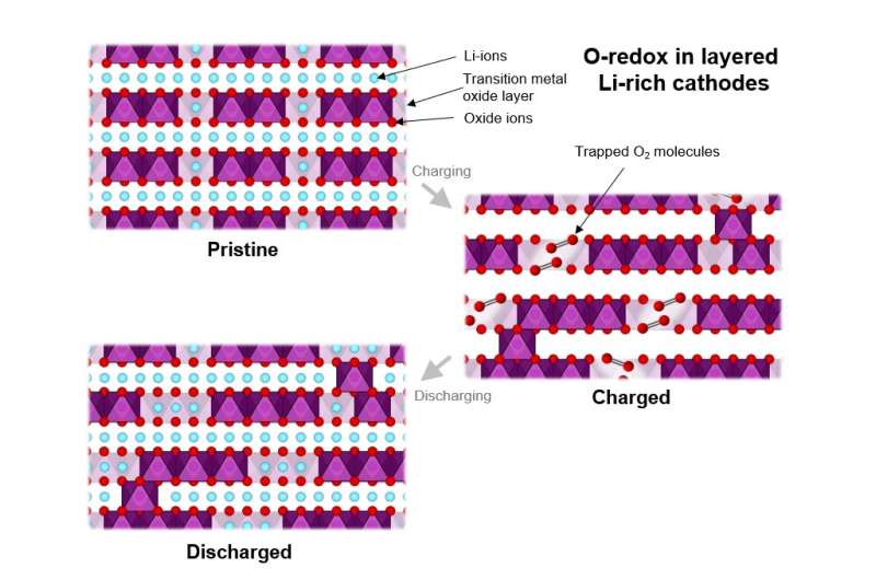 Mechanistic understanding of oxygen-redox processes in lithium-rich battery cathodes