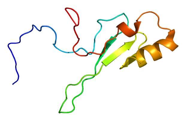 MeCP2: A binding protein that prevents DNA from being wrapped up in nucleosomes