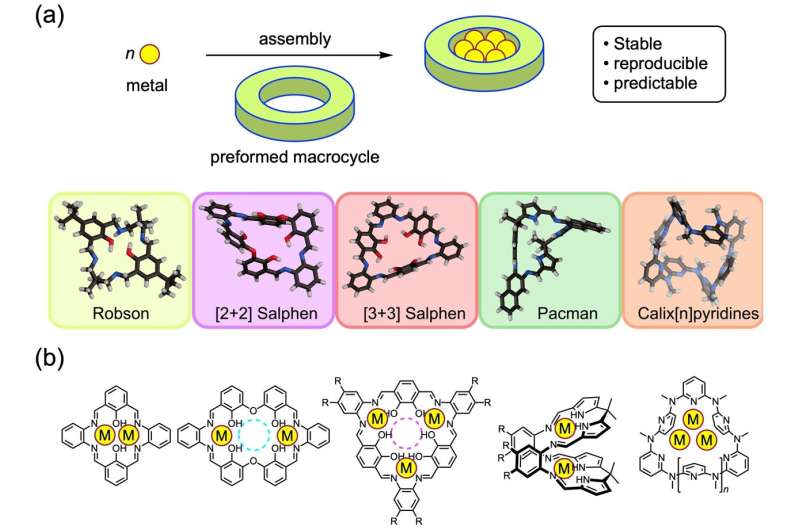 Metallic complexes made from cyclic molecules