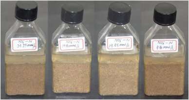 Microbial material modification helps to control frost heave and saline soil solidification