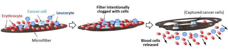 Microfilter device capable of detecting trace amounts of cancer cells in one mL of blood