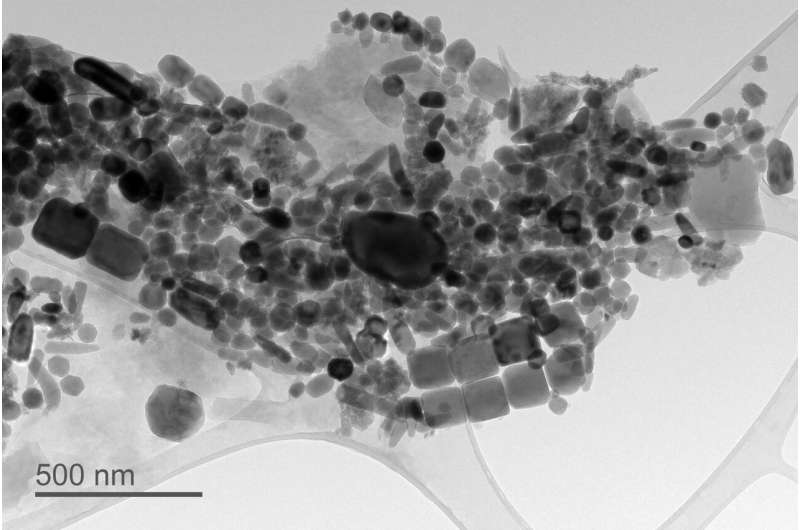 Microscopic fossils record ancient climate conditions