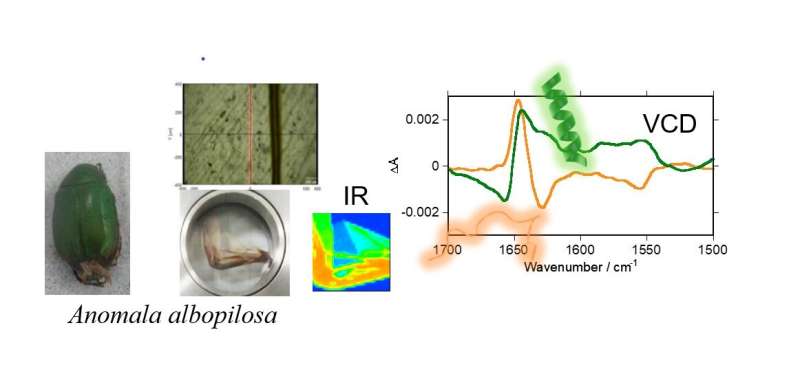 Microscopic vibrational circular dichroism enables supramolecular chirality mapping