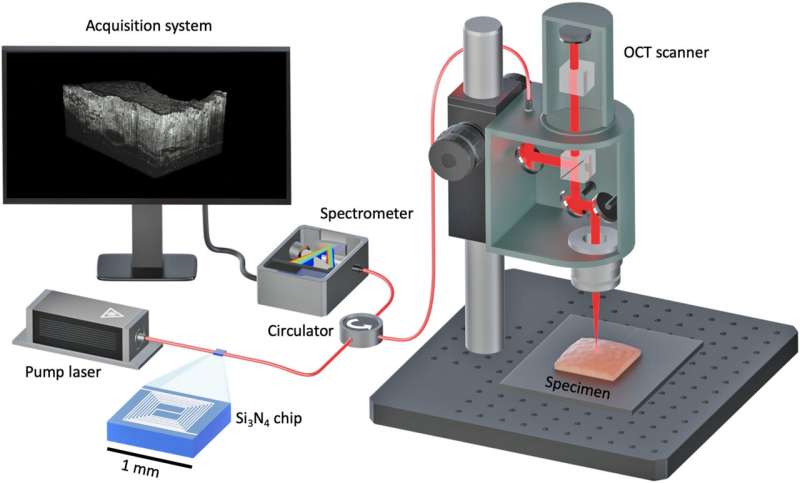 Millimeter-scale chip-based supercontinuum generation