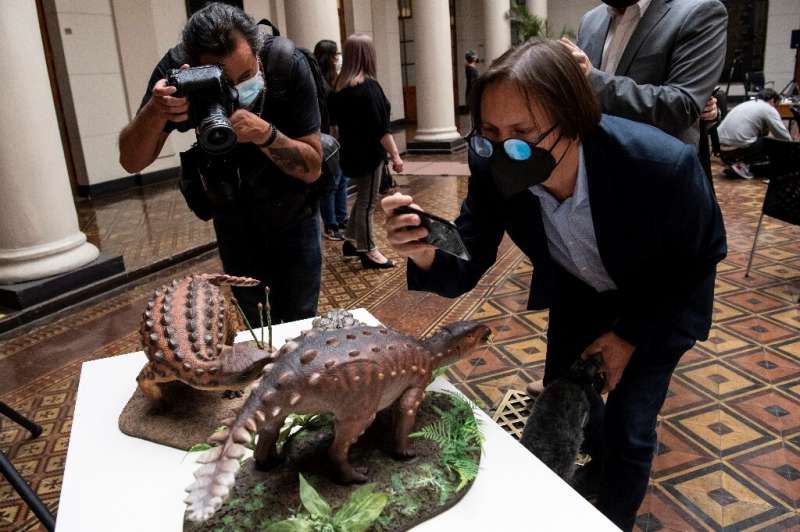 Miniature models of the Stegouros elengassen, a species of dinosaur discovred in Patagonia in 2018, is seen on display December 