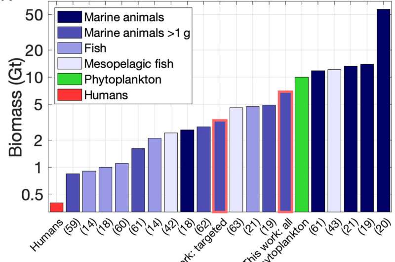 Model suggests fish fecal carbon sequestering in the ocean has declined by half over the past century