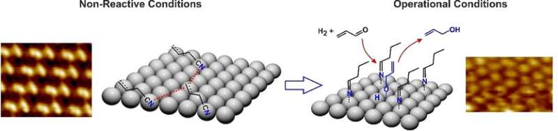 Molecule layer aids chemoselective hydrogenation on solid palladium catalysts