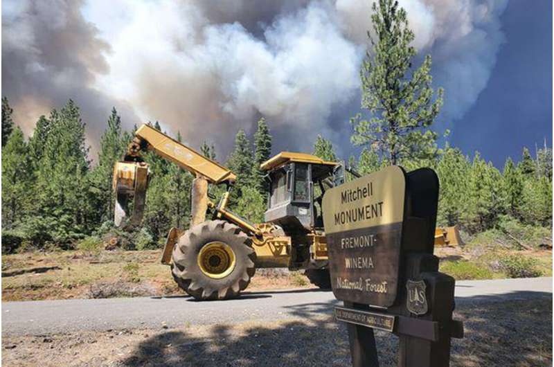 Monster wildfire tests years of forest management efforts