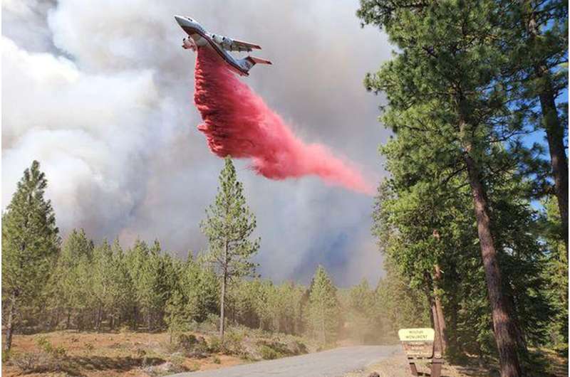 Monster wildfire tests years of forest management efforts