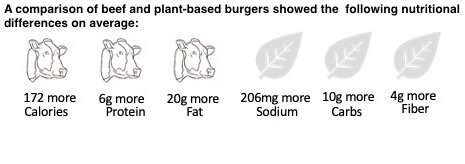 More protein, calories and fat in meat burgers