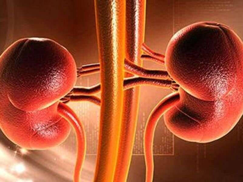 Mortality up for very-high symptom burden before kidney transplant