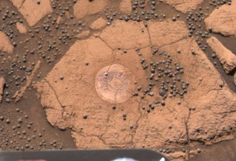 Mushrooms on Mars Mushrooms-on-mars-five