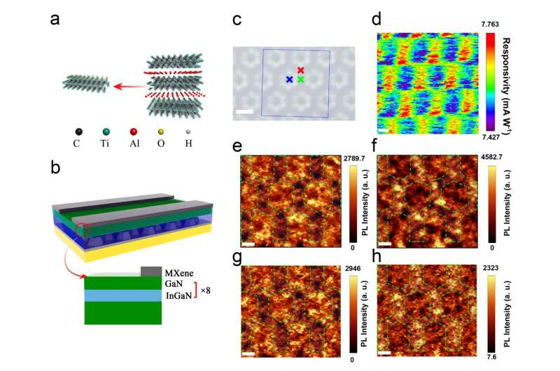 MXene-GaN van der Waals metal-semiconductor junctions for high performance photodetection