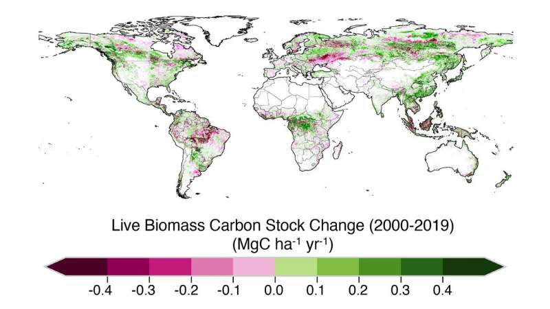 NASA study finds tropical forests’ ability to absorb carbon dioxide is waning