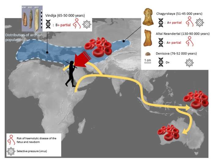 Neandertal and Denisovan blood groups deciphered