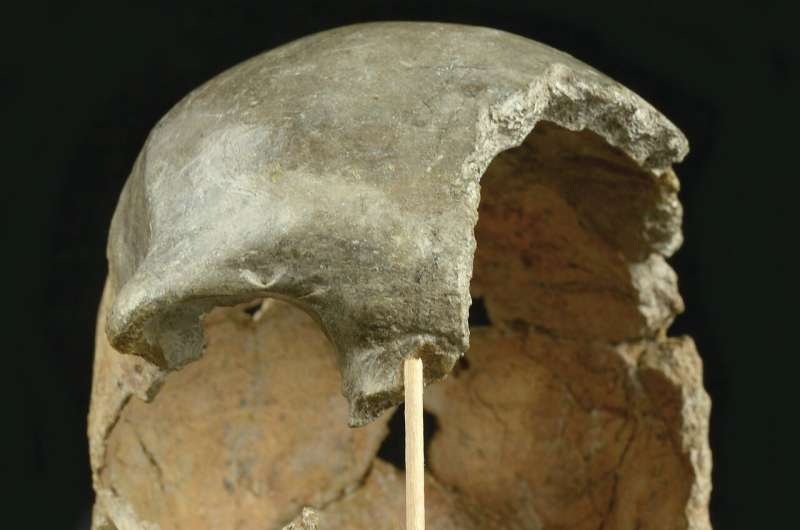 Neanderthal ancestry identifies oldest modern human genome