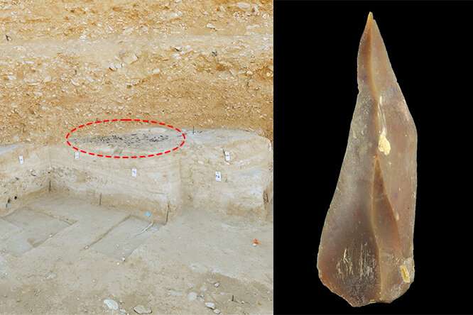 Negev Desert archaeological site illuminates an important chapter in modern humans’ origin