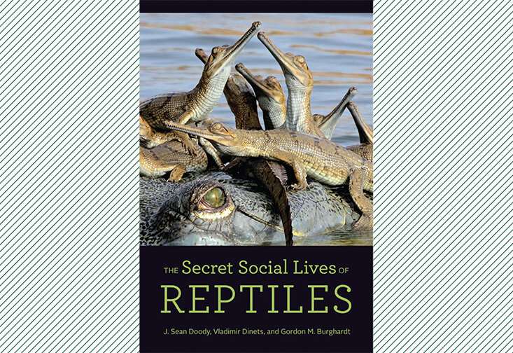New book combines current research with classic studies to highlight reptiles' secret social lives