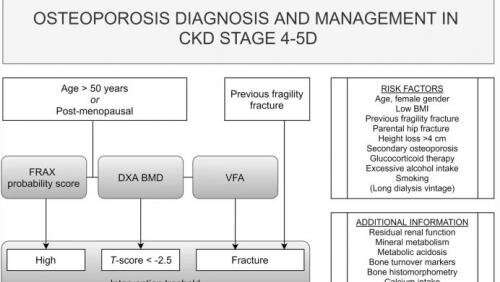 New guidance on how to diagnosis and manage osteoporosis in chronic kidney disease
