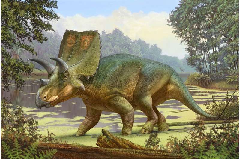 New “lost relative” of Triceratops found in New Mexico