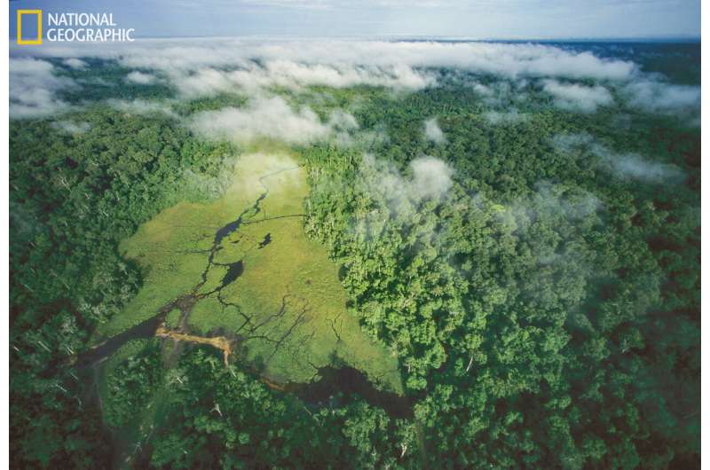 New measure of tropical forest vulnerability to help avoid 'tipping point'