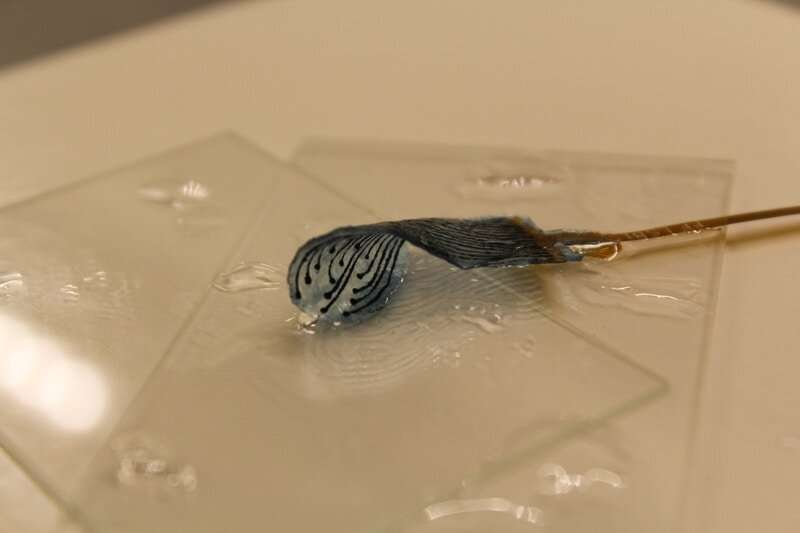 New metal-free hydrogel electrodes flex to fit the body’s many shapes, avoiding damage to organs