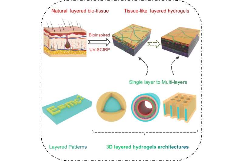 New method helps fabricate tissue-like wet and slippery hydrogels