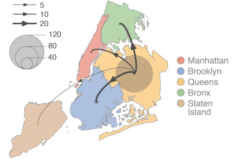 New research maps COVID-19 dispersal dynamics in New York's first wave of epidemic