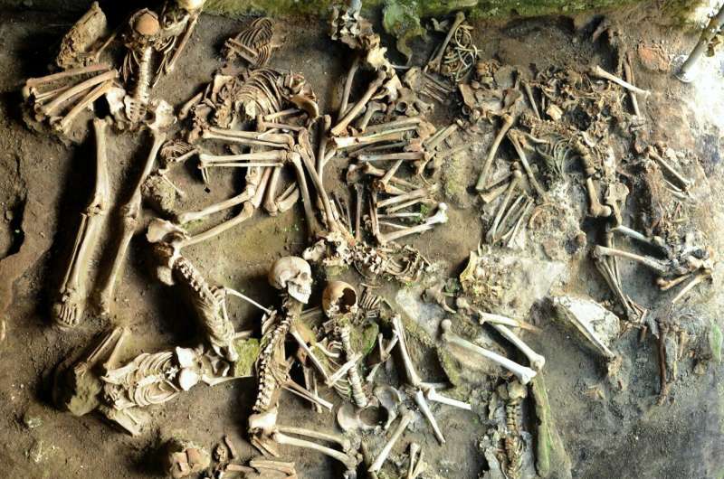 New research shows men and women of Roman Herculaneum had different diets