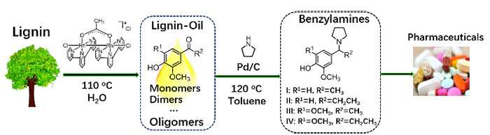 New strategy designed for sustainable production of benzylamines from lignin