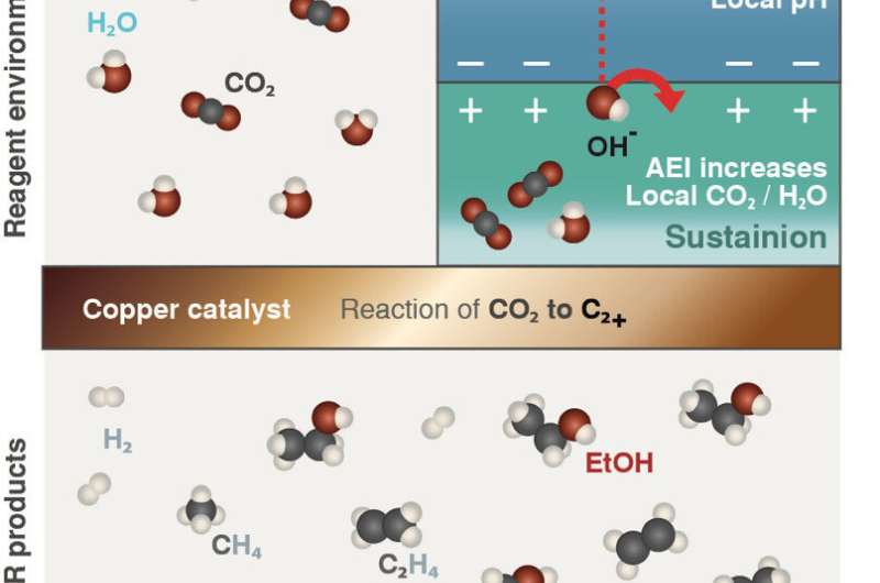 New technique improves conversion of carbon dioxide into liquid fuels