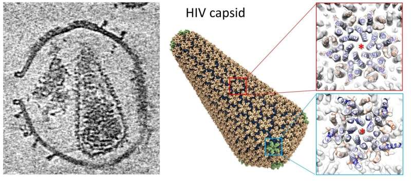 New technique solves HIV capsid structure and could be blueprint of capsid-targeting antivirals