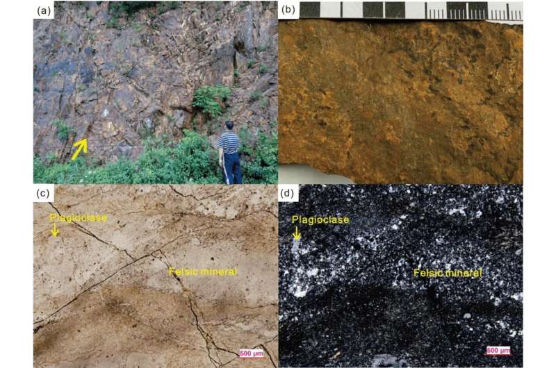 New U-Pb zircon ages document Late Triassic Tianqiaoling flora of eastern Jinlin, NE China