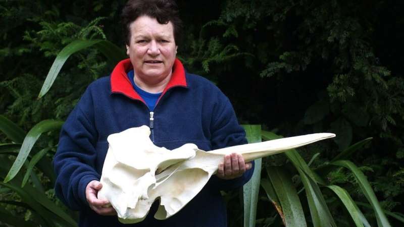 New whale species to be named after Mātauranga Māori whale expert