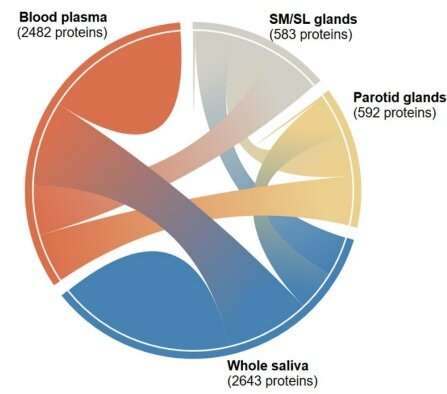 New wiki on salivary proteins may transform diagnostic testing and personalized medicine