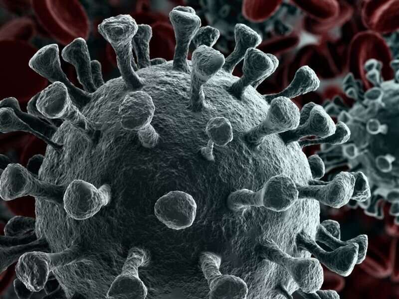 New coronavirus variants spreading across U.S., White House experts say thumbnail