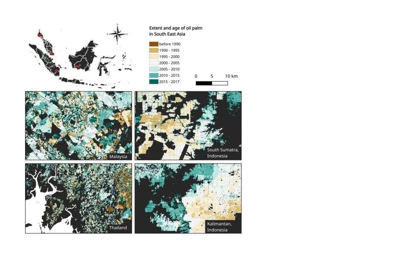 New oil palm map to inform policy and landscape-level planning