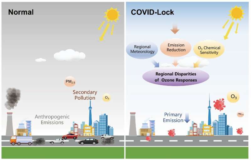 New research reveals drivers of regionally different ozone responses to the COVID-19