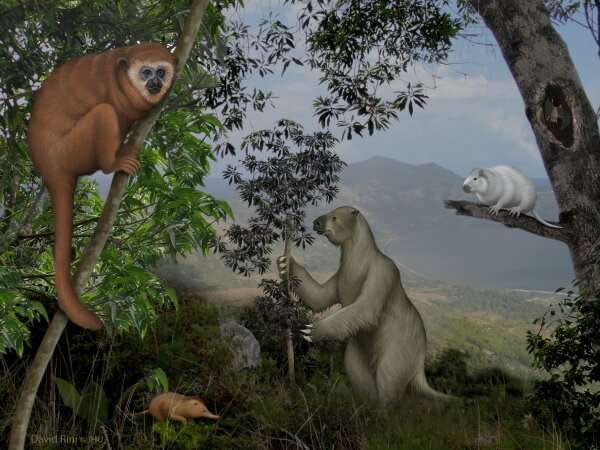 New study sheds light on Caribbean mammal extinctions, helps guide conservation strategies