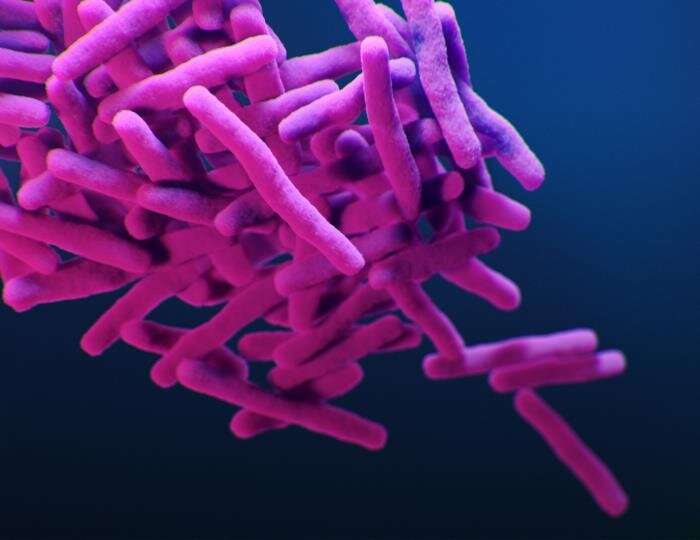 New TB drug regimen slashes treatment time
