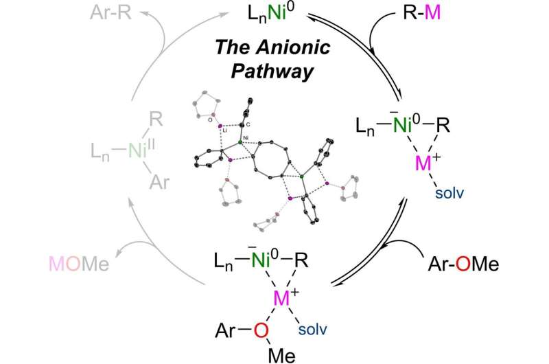 Nickel-catalyzed cross-coupling of aromatic ethers proceeds via a nickelate anion