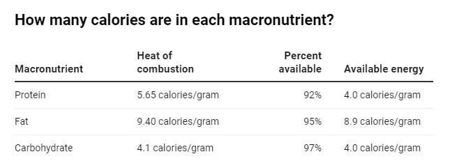 No todas las calorías son iguales: un dietista explica las diferentes formas en que los tipos de alimentos que ingieres son importantes para tu cuerpo