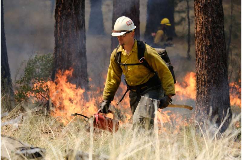 'Nothing looks good' preparing for summer wildfire season