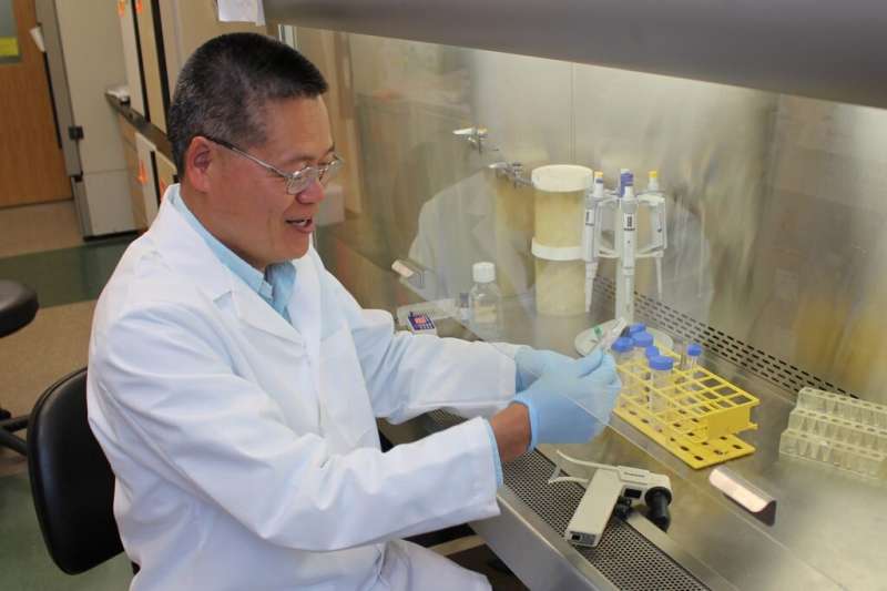 新型免疫检查点具有癌症的应用，自身免疫性疾病治疗