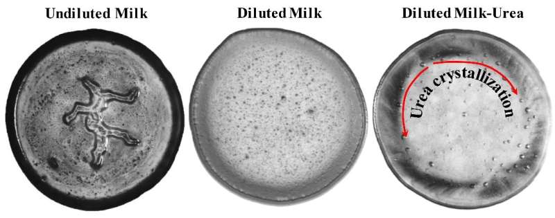 Novel strategy to track adulterants in milk 