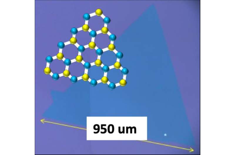 Novel two-step mechanism revealed in two-dimensional material formation