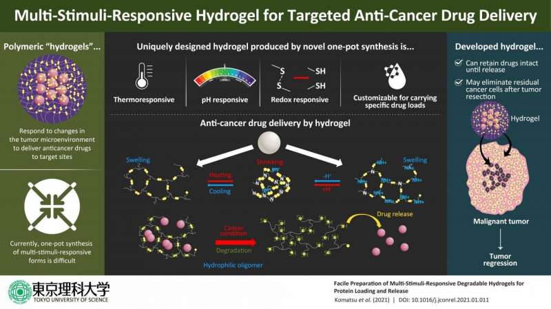 Novel &quot;hydrogel&quot; carriers for anti-cancer drugs offer new hope for cancer treatment
