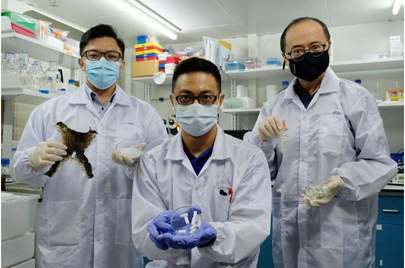 NTU Singapore scientists turn aquaculture waste into new biomaterial for tissue repair
