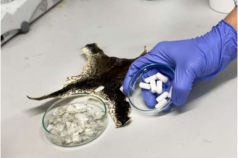NTU Singapore scientists turn aquaculture waste into new biomaterial for tissue repair