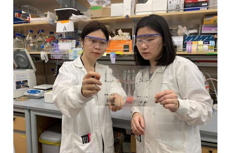 NUS scientists find new mechanism of cancer formation